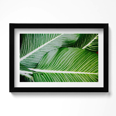 Obraz s rámem dekorativní Exotické zelené listy