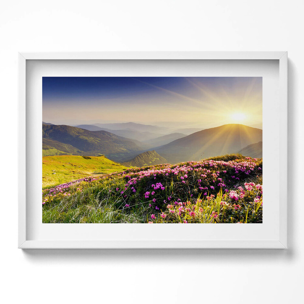 Obraz v rámu moderní Hory a květinová louka