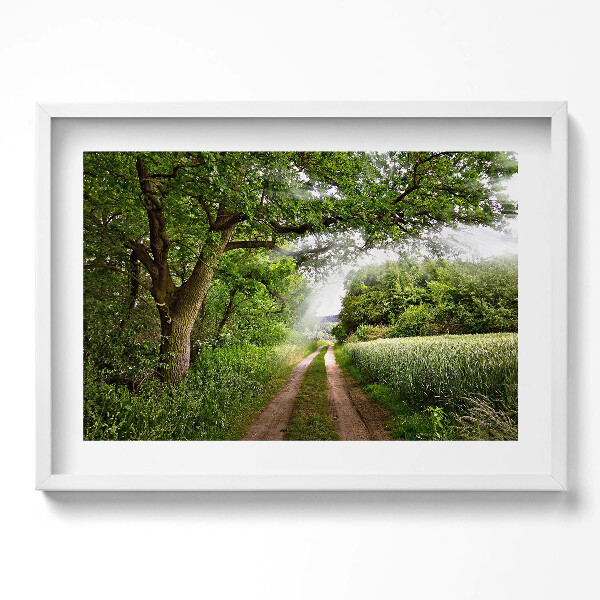 Obraz v rámu moderní Cesta, stromy a sluneční paprsky
