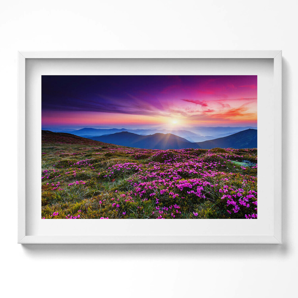 Obraz v rámu moderní Východ slunce květiny