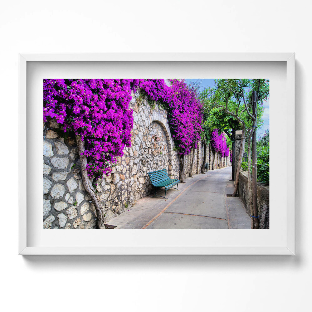 Obraz v rámu moderní Cesta s květinami v Capri, Itálie