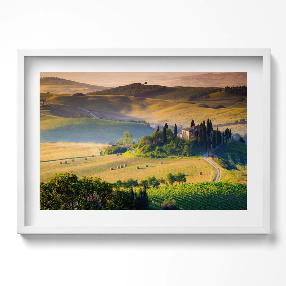 Obraz v rámu moderní Útulná letní krajina polí