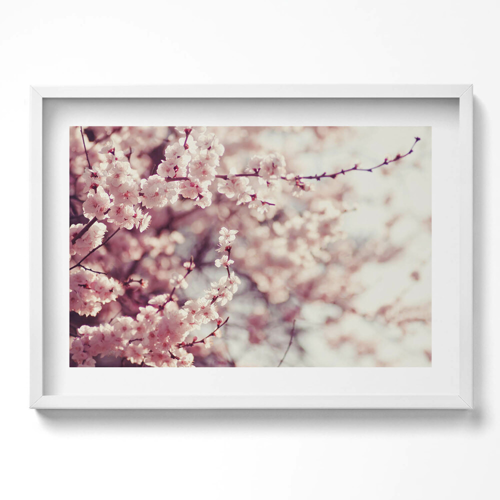 Obraz v rámu moderní Kvetoucí jarní květiny