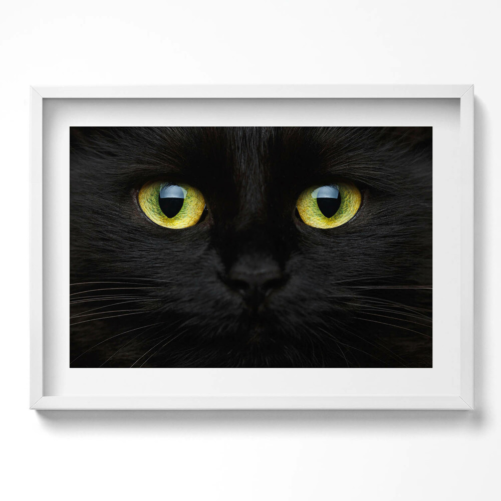 Obraz v rámu moderní Zvířecí kočičí oči