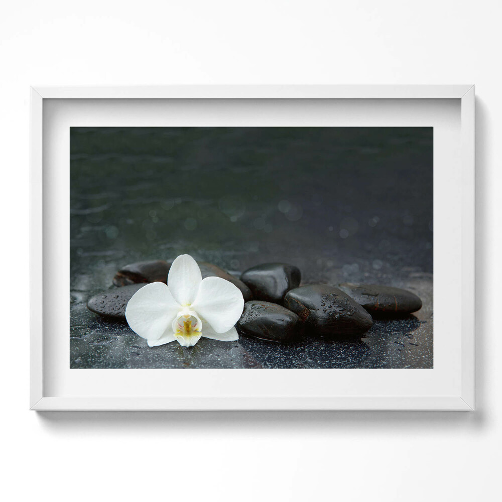 Obraz v rámu moderní Bílý květ Zen kameny