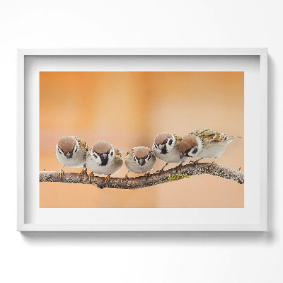 Obraz v rámu moderní Ptáci na větvi