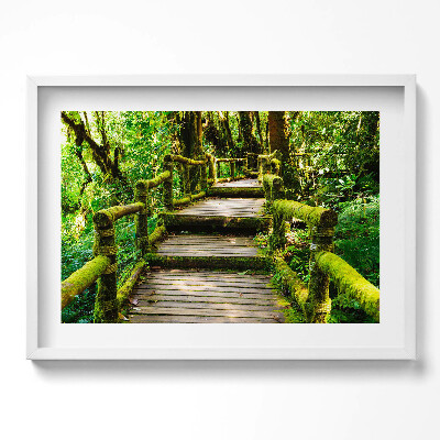 Obraz v rámu moderní Dřevěný chodník - agroturistika