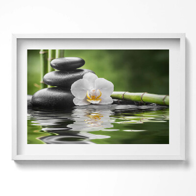 Obraz v rámu moderní Zen - bambusové kameny a květina na vodě