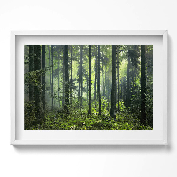 Obraz v rámu moderní Krajina stromů a lesní vegetace