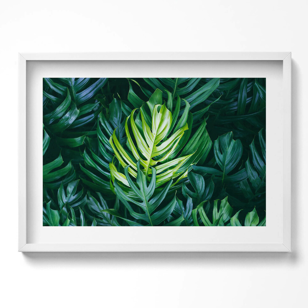 Obraz v rámu moderní Tropická příroda - listy monstera