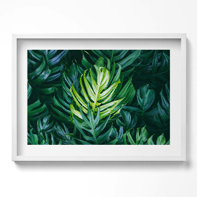 Obraz v rámu moderní Tropická příroda - listy monstera