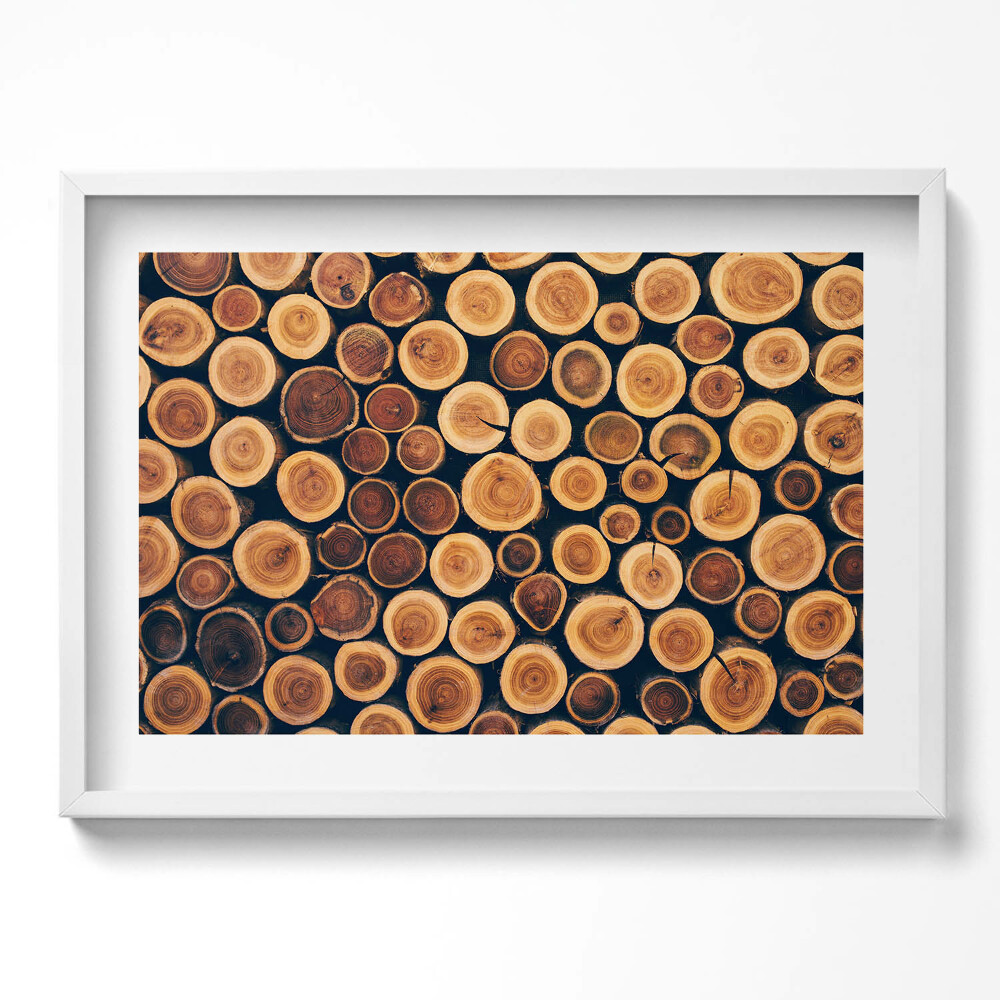 Obraz v rámu moderní Dřevo, pařezy