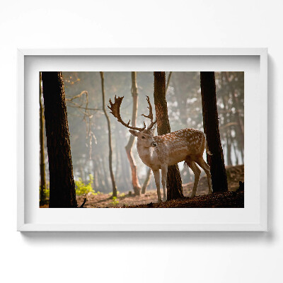Obraz v rámu moderní Jelen v záři vycházejícího slunce