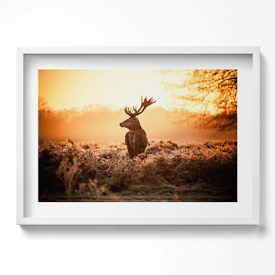 Obraz v rámu moderní Jelen při východu slunce