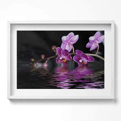 Obraz v rámu moderní Růžový květ orchideje na vodě