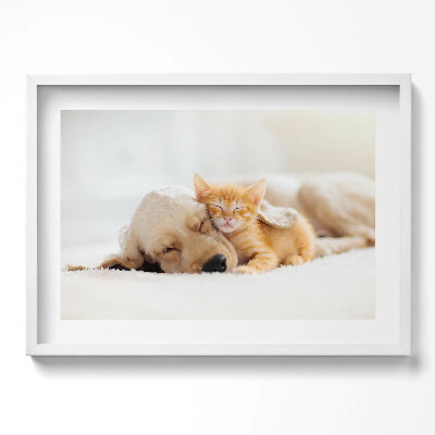 Obraz v rámu moderní Spící zvířata kočka a pes