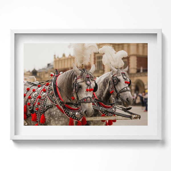 Obraz v rámu moderní Krásní koně v Krakově