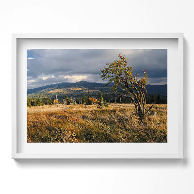 Obraz v rámu moderní Krkonoše na podzim