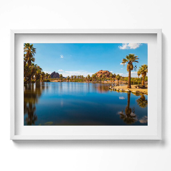 Obraz v rámu moderní Krajina parku Papago