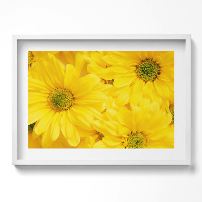 Obraz v rámu moderní Okvětní lístky