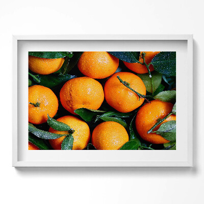 Obraz v rámu moderní Oranžové ovoce