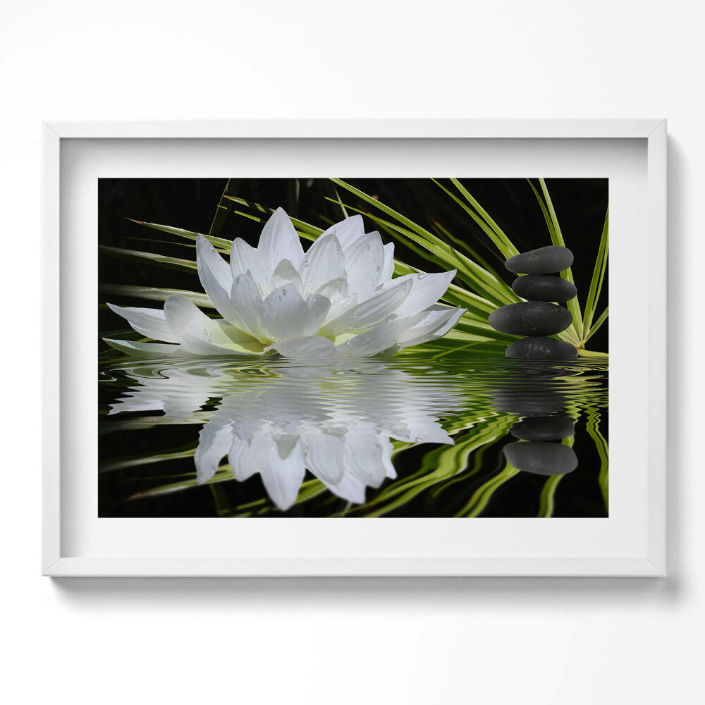 Obraz v rámu moderní Leknín a listy