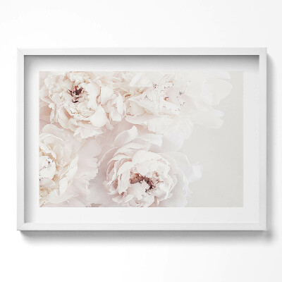 Obraz v rámu moderní Pastelové pivoňky