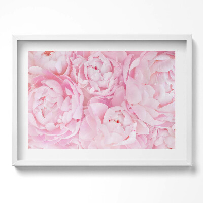 Obraz v rámu moderní Jemné pivoňky