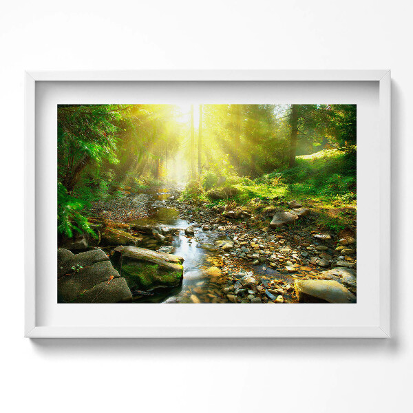Obraz v rámu moderní Lesní potok ve slunečním světle