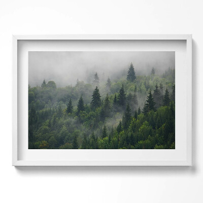 Obraz v rámu moderní Lesní krajina v mlze