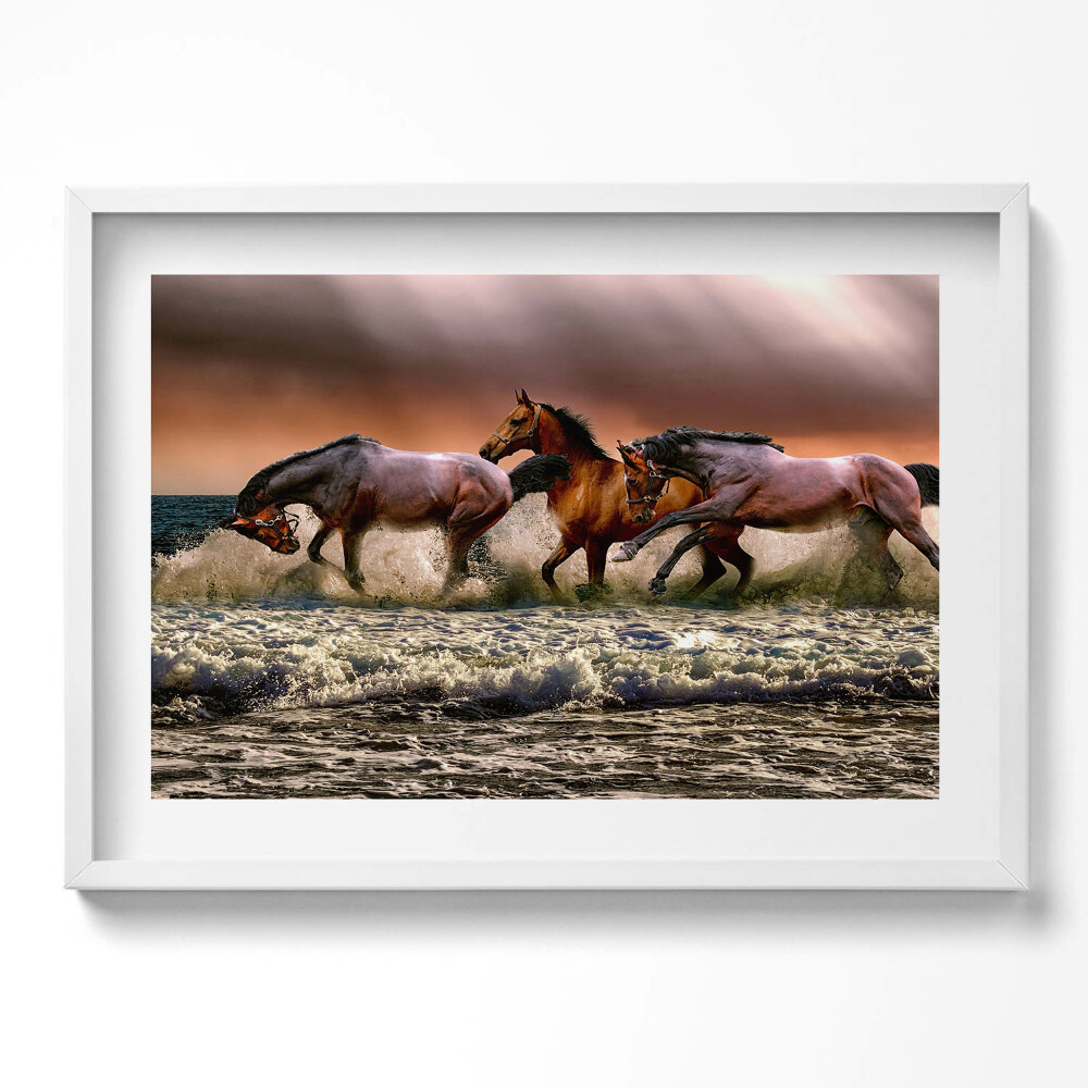 Obraz v rámu moderní Koně spěchající ve vodě