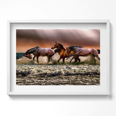 Obraz v rámu moderní Koně spěchající ve vodě