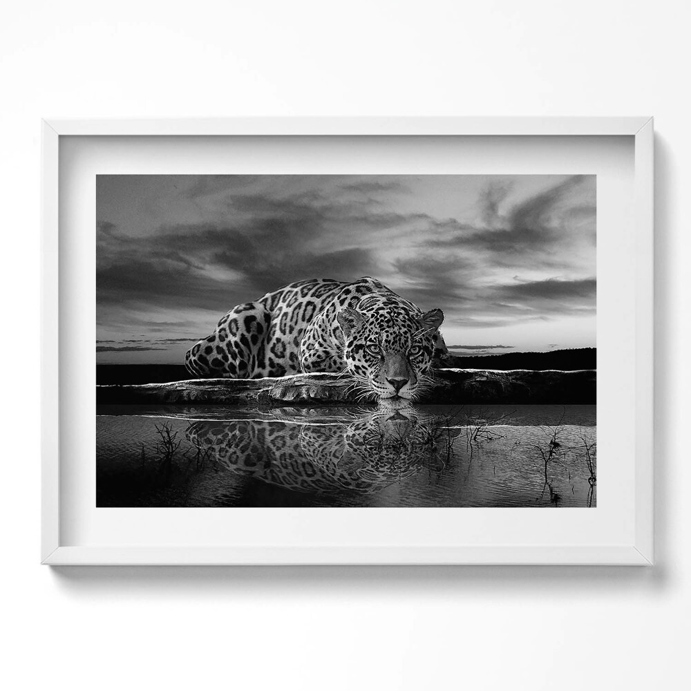 Obraz v rámu moderní Černá a bílá leopard divoké zvíře