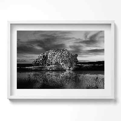 Obraz v rámu moderní Černá a bílá leopard divoké zvíře