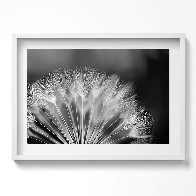 Obraz v rámu moderní Černobílý detail pampelišky