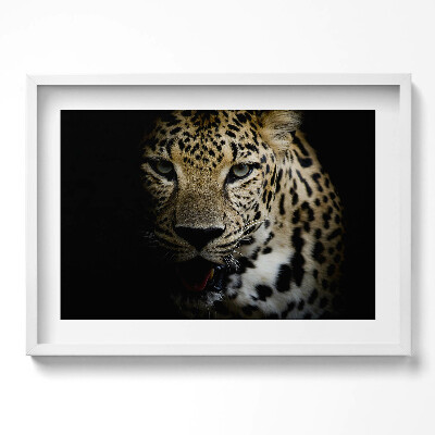 Obraz v rámu moderní Divoká tygří kočka v černé barvě