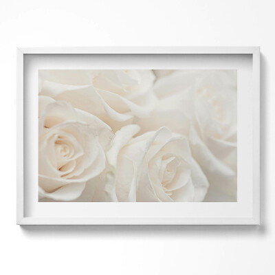 Obraz v rámu moderní Bílé jemné různé