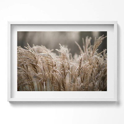 Obraz v rámu moderní Boho jemné trávy