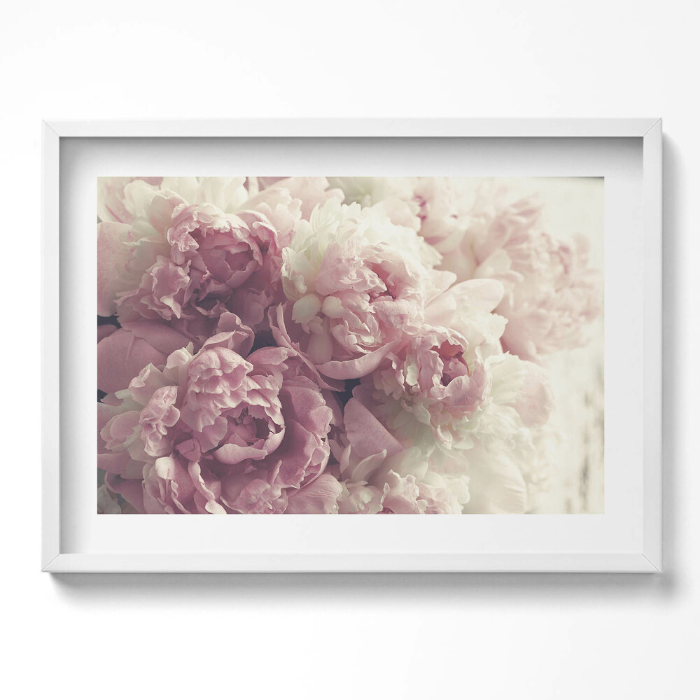 Obraz v rámu moderní Jemné květy pivoňky