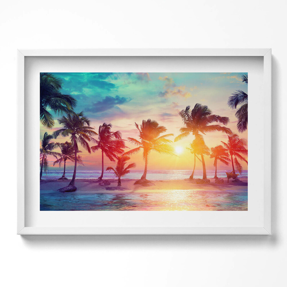 Obraz v rámu moderní Miami palmy při východu slunce