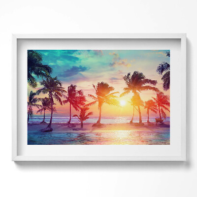Obraz v rámu moderní Miami palmy při východu slunce