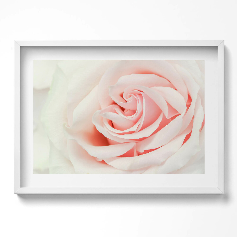 Obraz v rámu moderní Detail růžových lístků