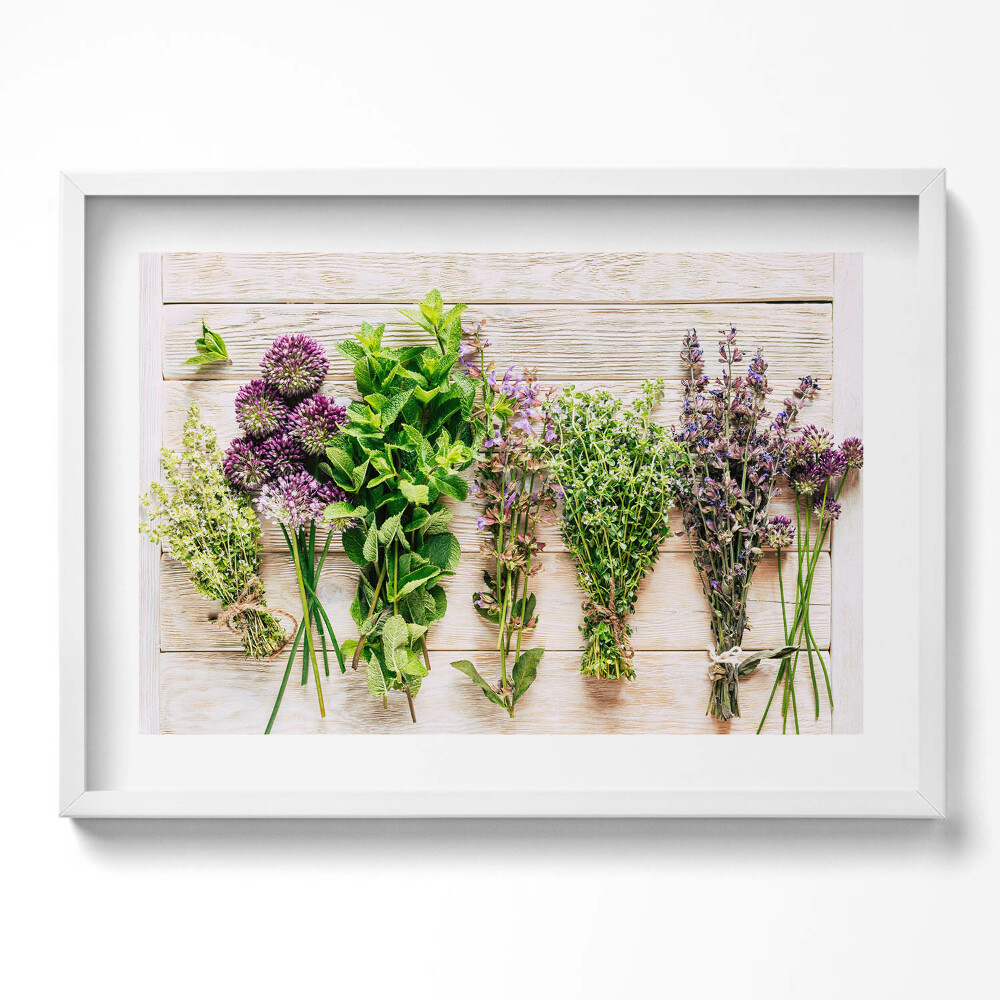 Obraz v rámu moderní Rostliny a byliny na prknech