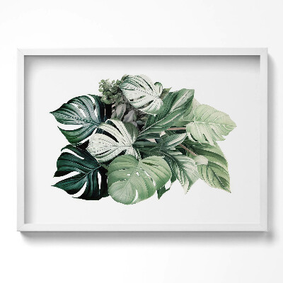 Obraz v rámu moderní Malované listy monstera