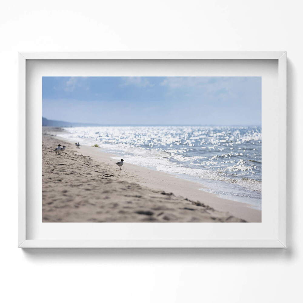 Obraz v rámu moderní Mořské vlny a pták na pláži