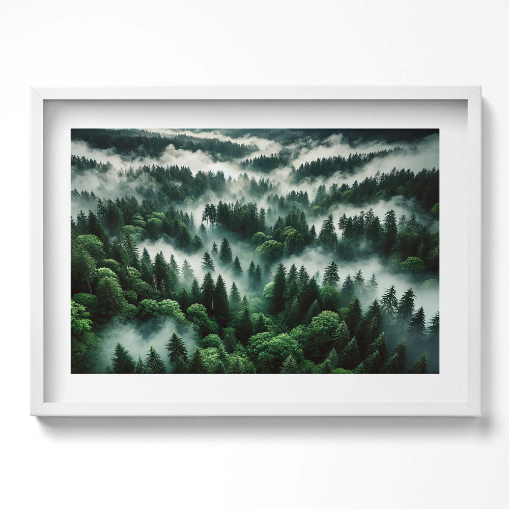Obraz v rámu moderní Krajina ranní mlhy v lese