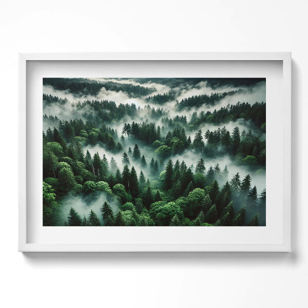 Obraz v rámu moderní Krajina ranní mlhy v lese