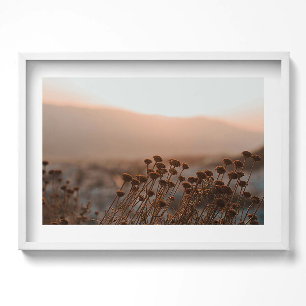 Obraz v rámu moderní Boho romantická tráva krajina