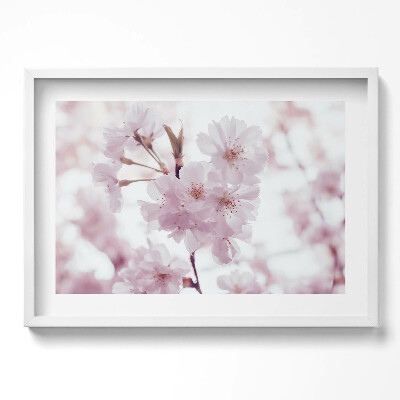 Obraz v rámu moderní Jemné světle růžové květy