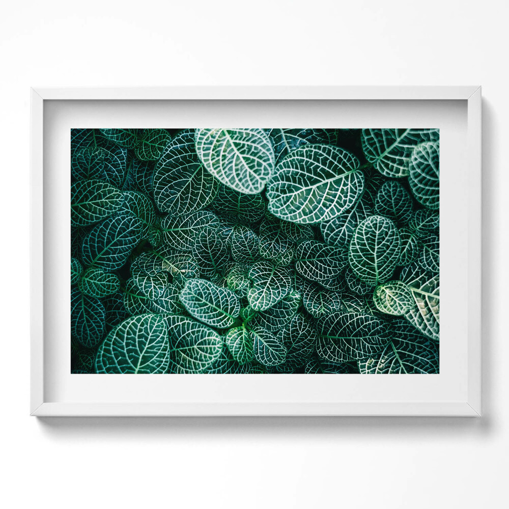 Obraz v rámu moderní Zelené divoké listy